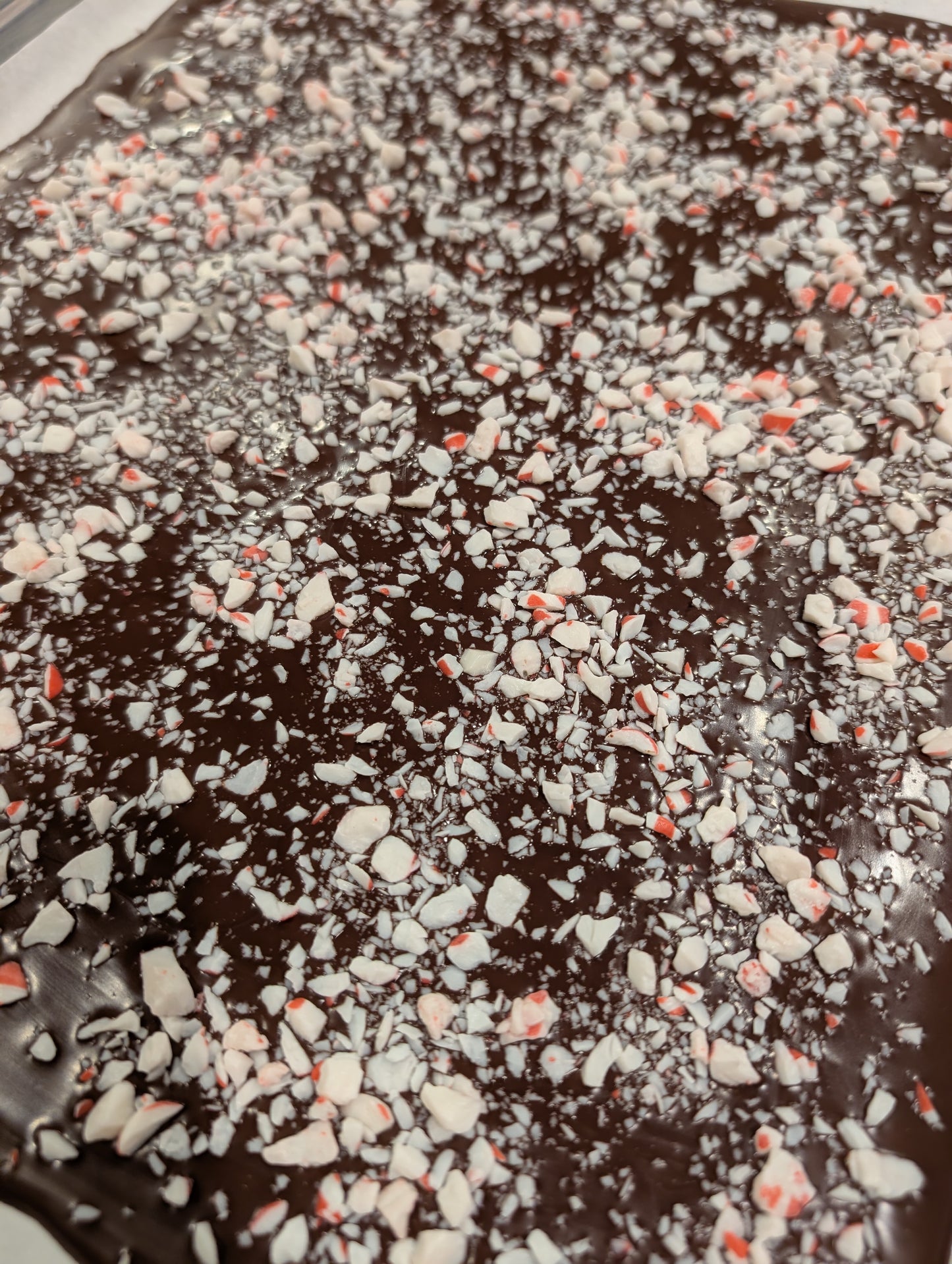 SNACKING CHOCOLATE BARK (LIMITED HOLIDAY ITEM)